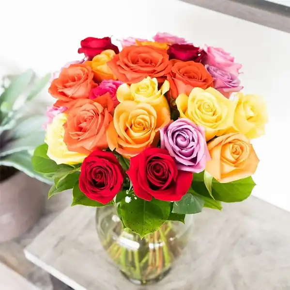 One Dozen Rainbow Roses